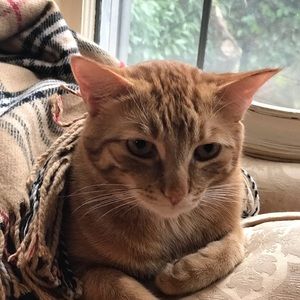 Meet your Posher, Ariana